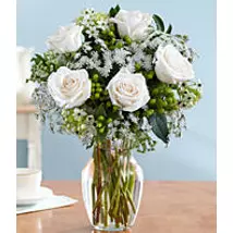 One Dozen Long Stemmed White Roses
