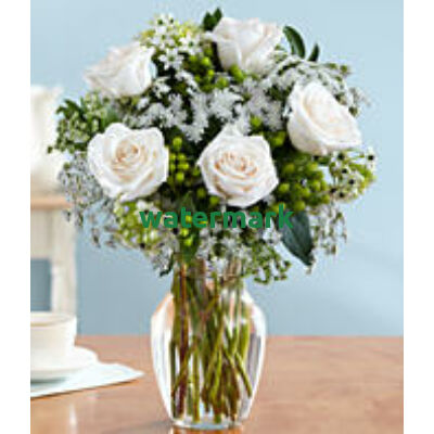 One Dozen Long Stemmed White Roses